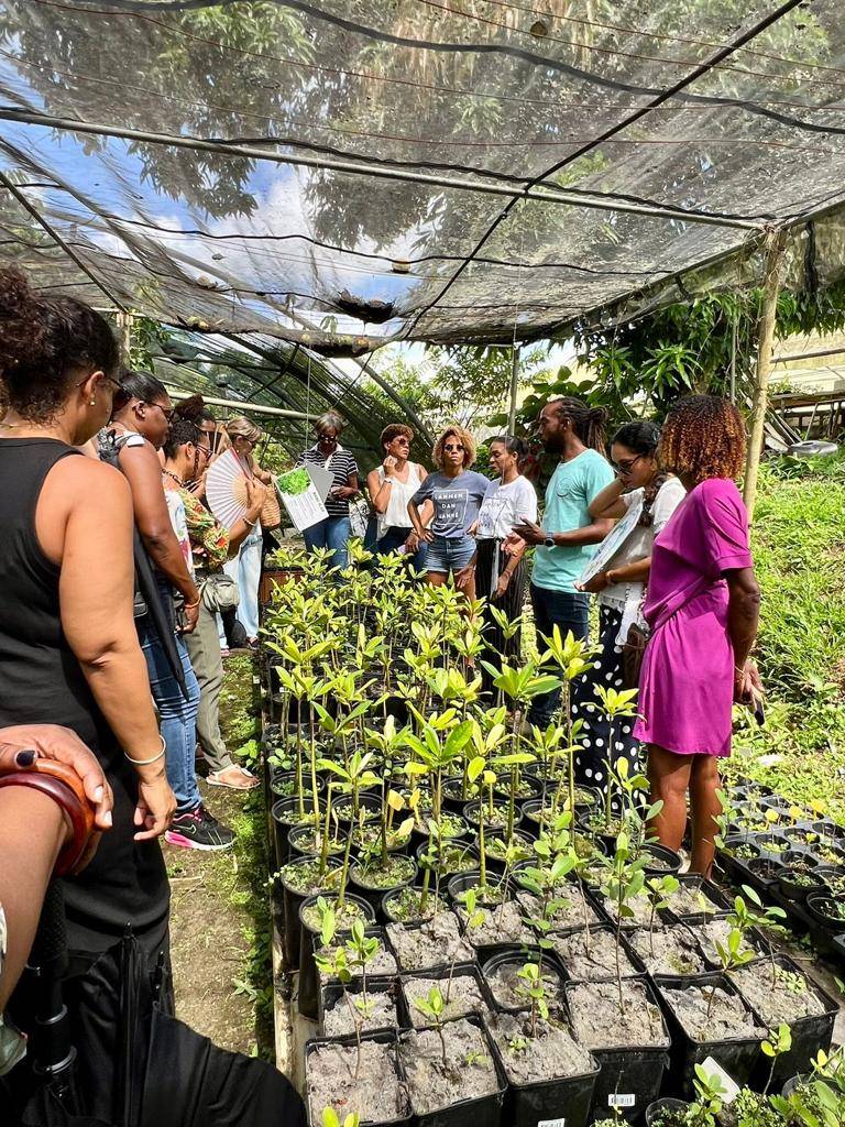 Action Orange s'engage avec Ecotree